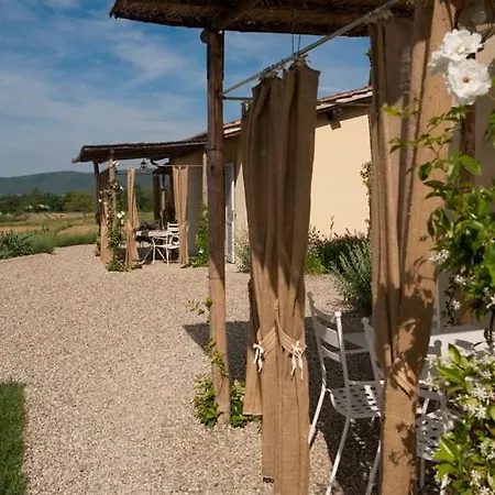 Rinidia Bio Сasa de vacaciones *