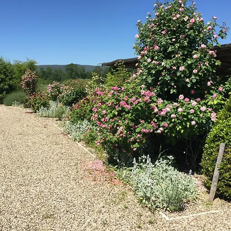 Rinidia Bio Sovicille